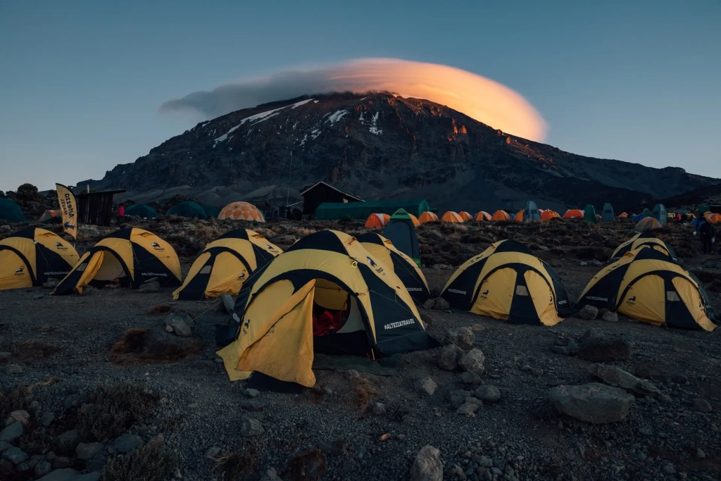 High camp