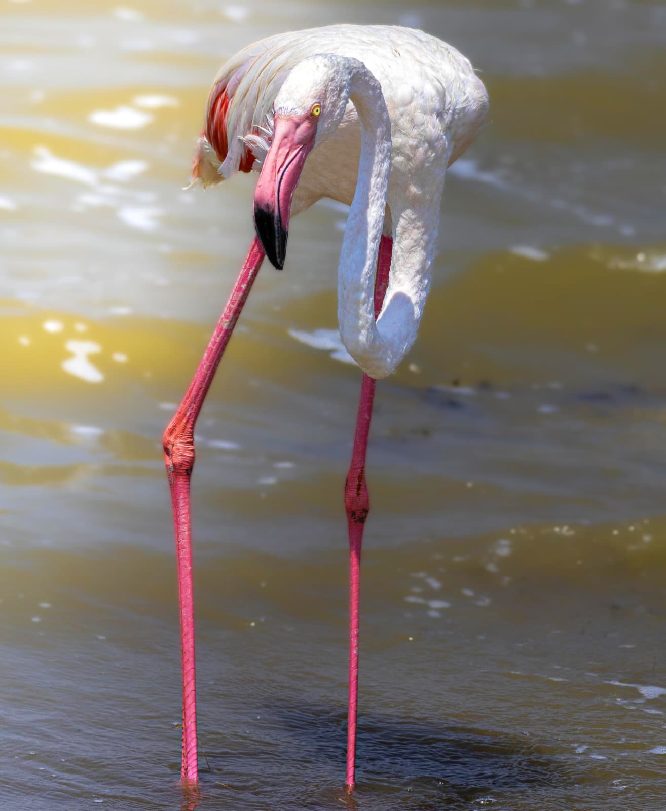 Lake Manyara
